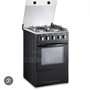 Winning Star Electric Cooker With Gas Burners