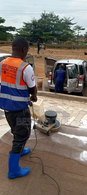 Expert Carpet Cleaning Services for More Than Just Clean Carpets.