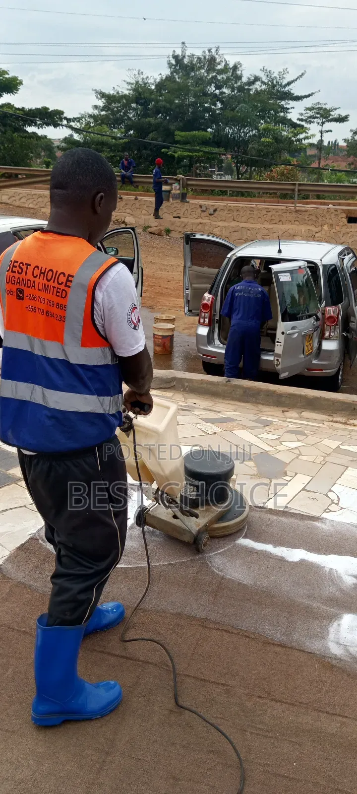 Expert Carpet Cleaning Services for More Than Just Clean Carpets.
