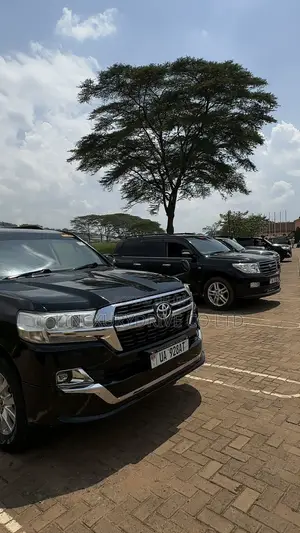 Landcruiser V8’S Available for Self Drive