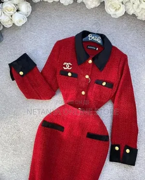 Women's Elegant Long Sleeve Coat and Skirt
