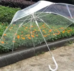 Transparent Umbrellas