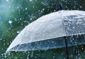 Transparent Umbrellas