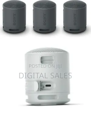 Sony Extra Bass Wireless Portable Speaker