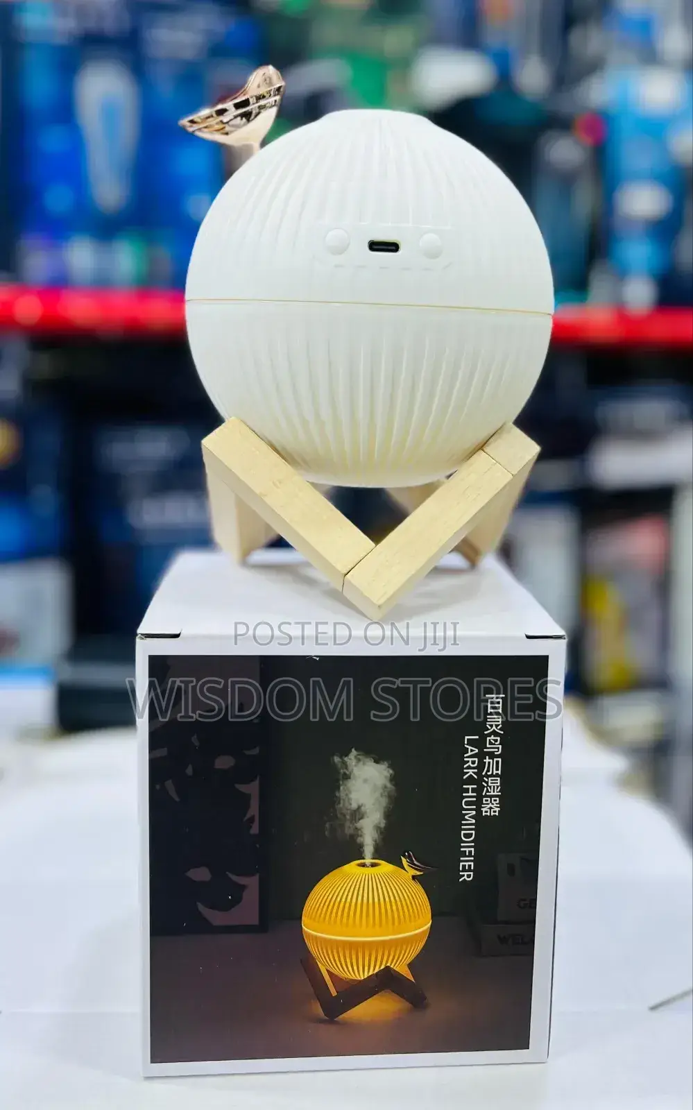 Moon Lamp With Bird Air Humidifier