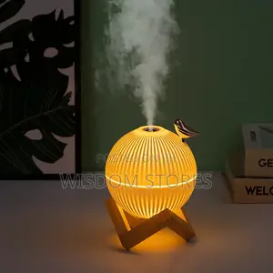 Moon Lamp With Bird Air Humidifier