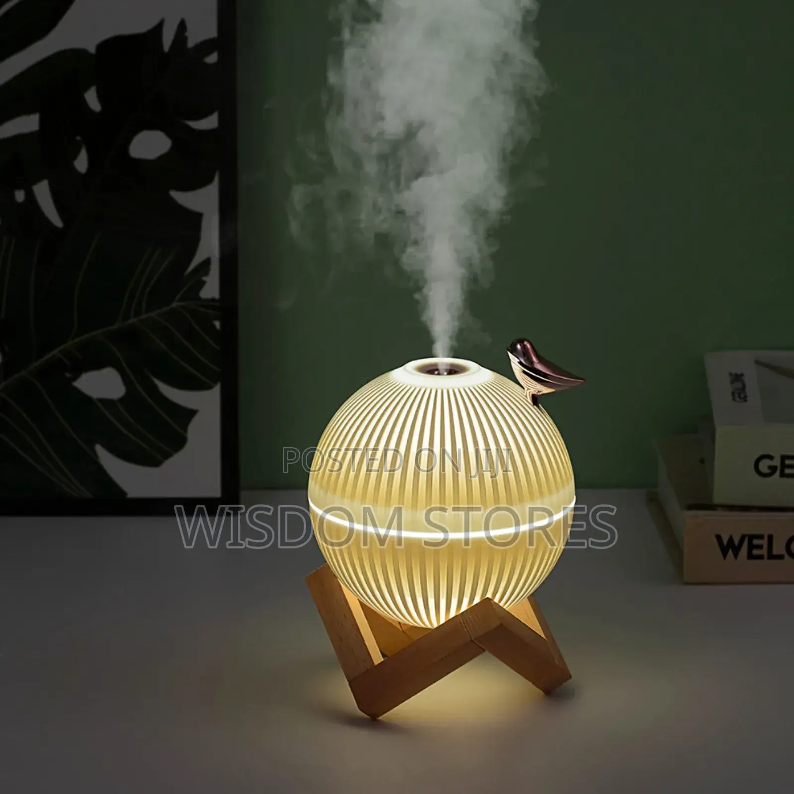 Moon Lamp With Bird Air Humidifier