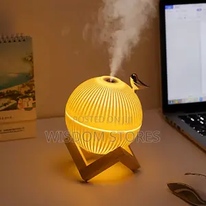 Moon Lamp With Bird Air Humidifier