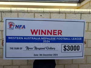 Dummy Cheques