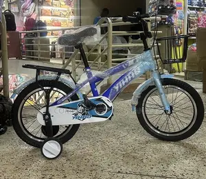 Bicycle Blue 5-10 Years