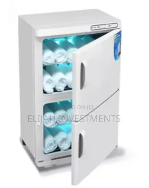 Electric Dual-Cabinet Hot Towel Warmer