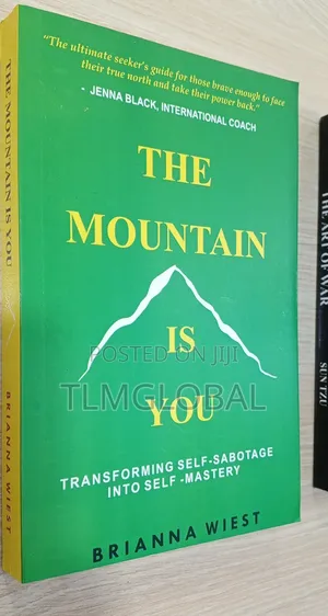 The Mountain Is You Novel By Brianna Wiest