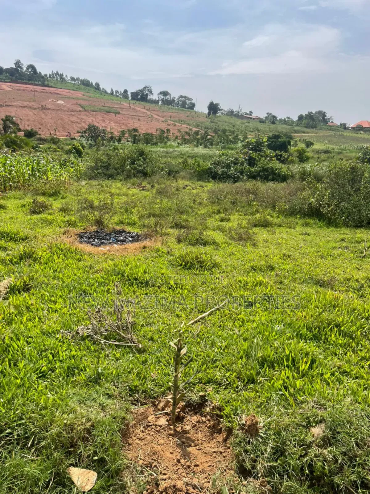 Affordable Plots on Quicksale in Nakawuka Bulwanyi With Title on Table