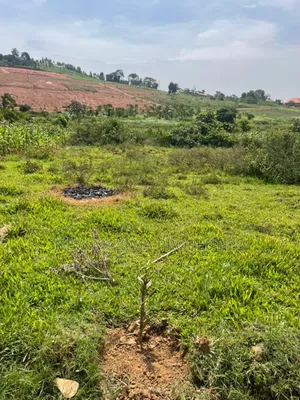 Affordable Plots on Quicksale in Nakawuka Bulwanyi With Title on Table