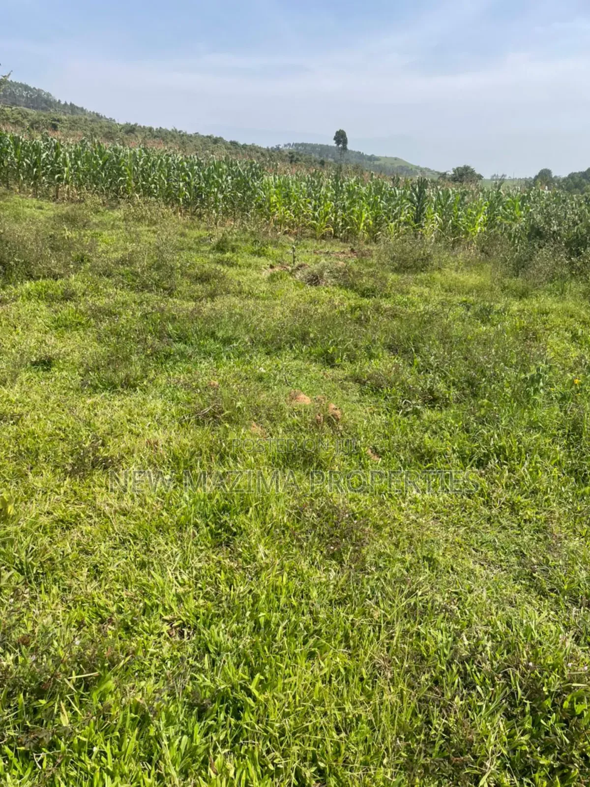 Affordable Plots on Quicksale in Nakawuka Bulwanyi With Title on Table