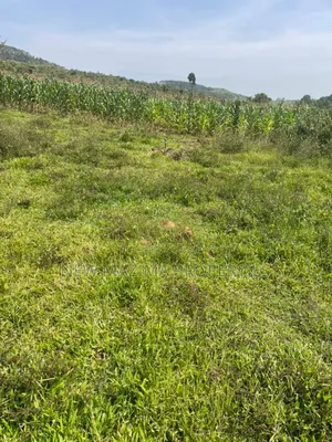 Affordable Plots on Quicksale in Nakawuka Bulwanyi With Title on Table