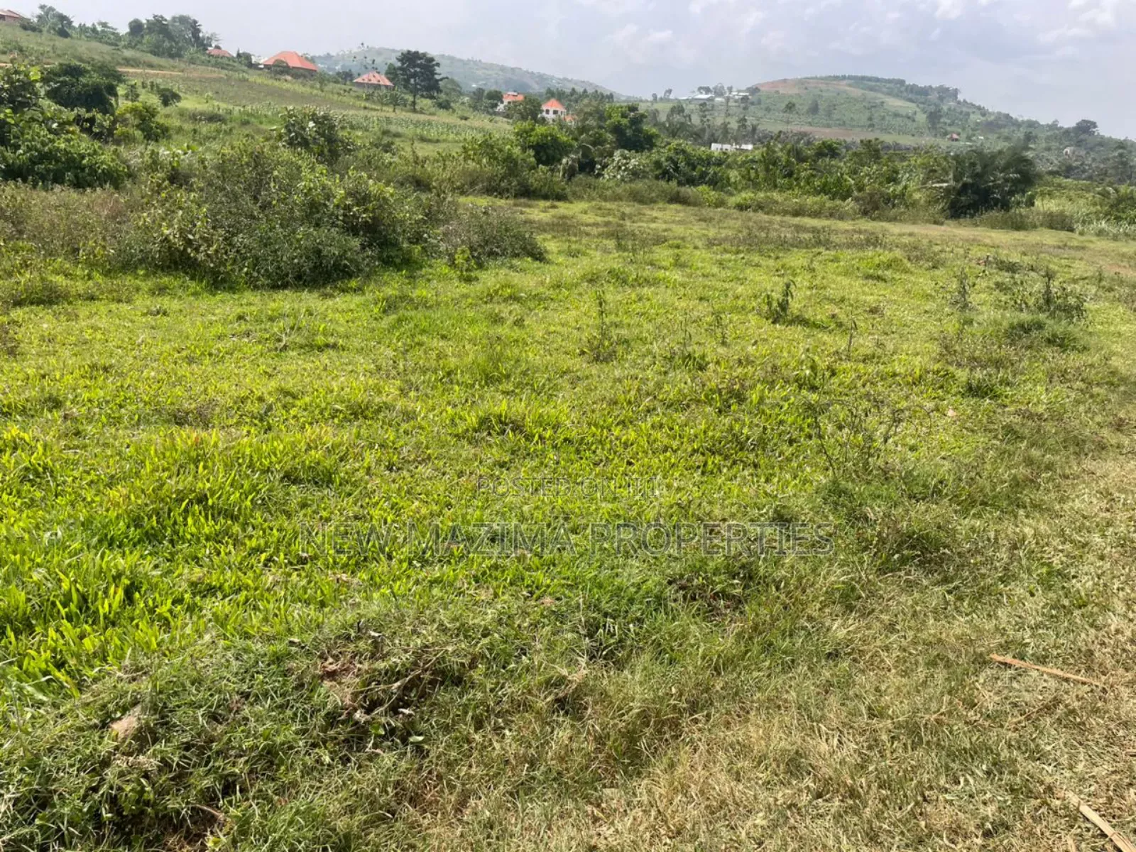 Affordable Plots on Quicksale in Nakawuka Bulwanyi With Title on Table