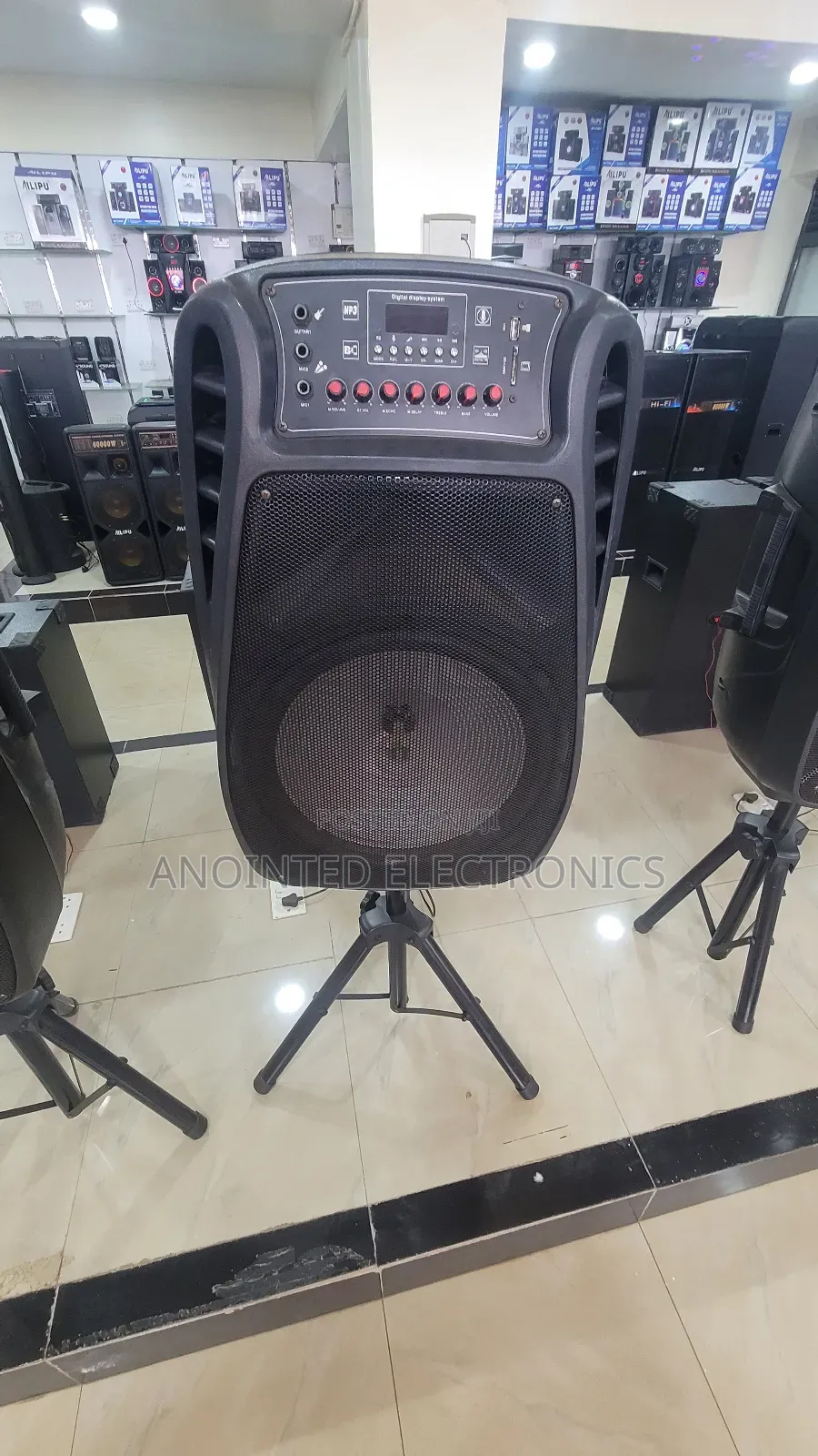 One Standing Reachable Speaker