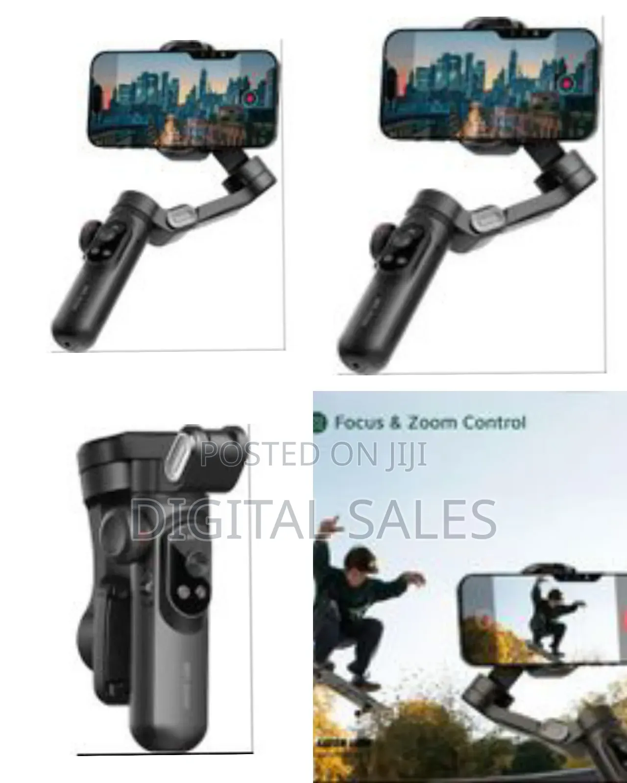 Green Lion New York Gimbal