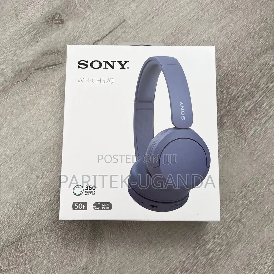 Sony Wh _ch520