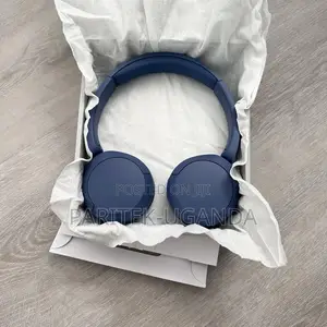 Sony Wh _ch520