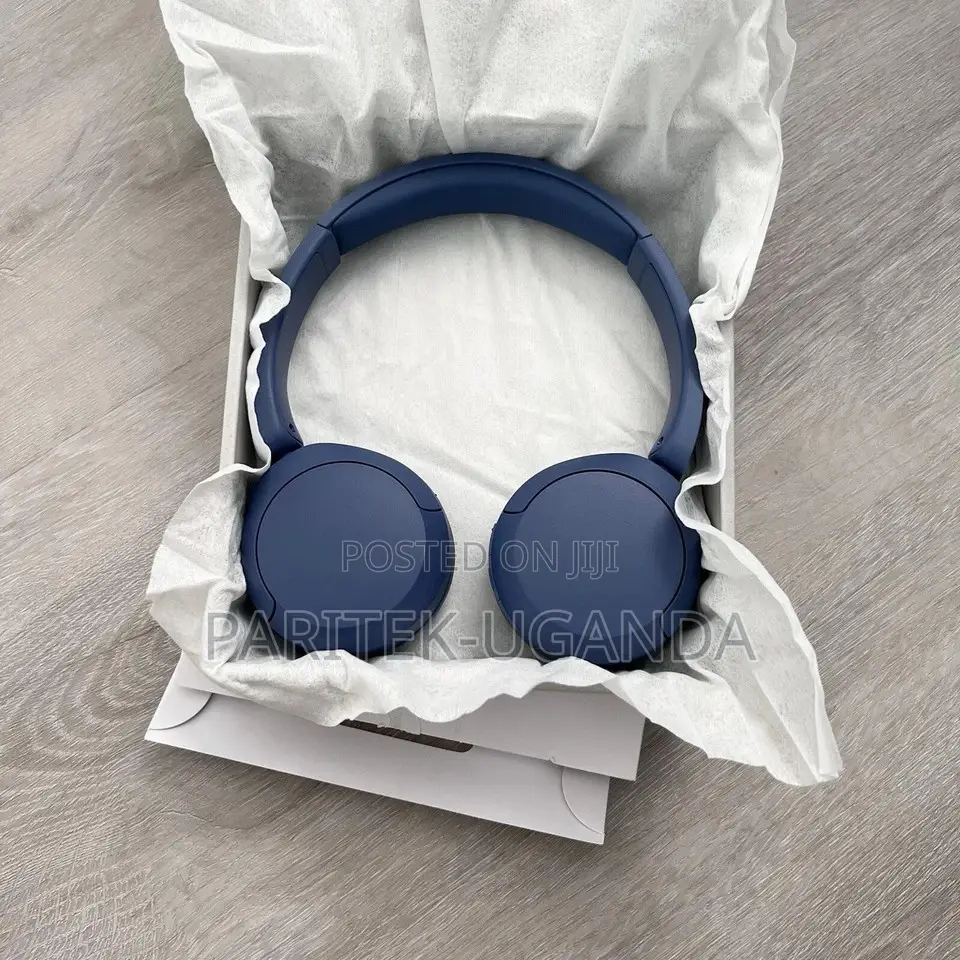 Sony Wh _ch520