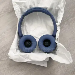 Sony Wh _ch520