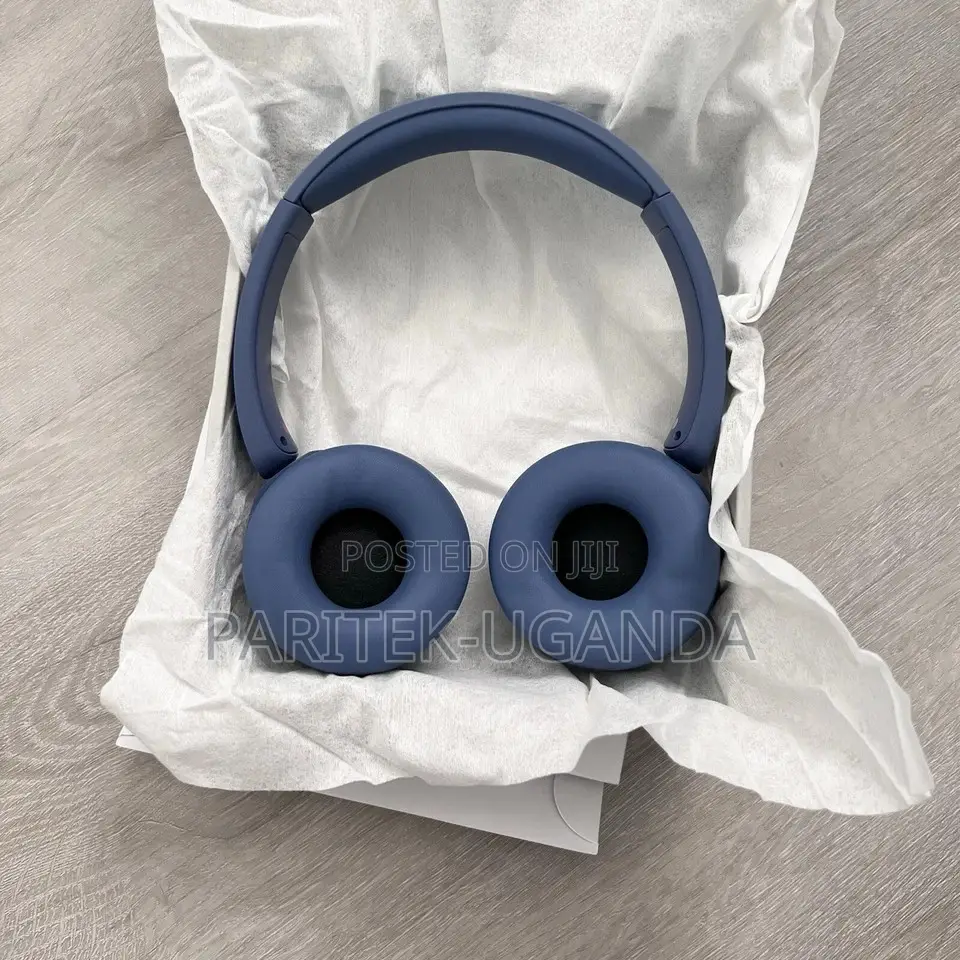 Sony Wh _ch520