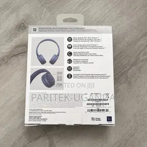 Sony Wh _ch520