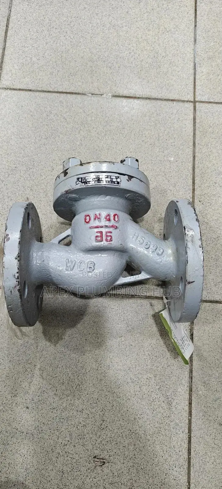 Steam Non Return Valve