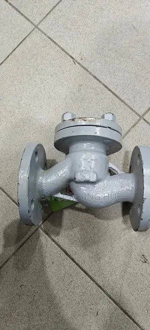 Steam Non Return Valve