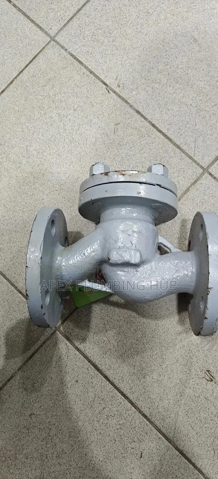 Steam Non Return Valve