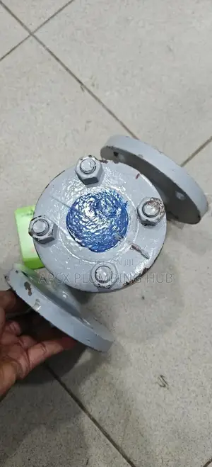 Steam Non Return Valve