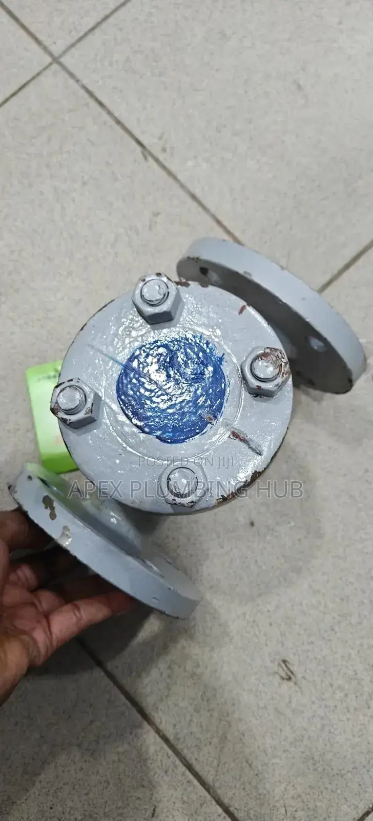 Steam Non Return Valve