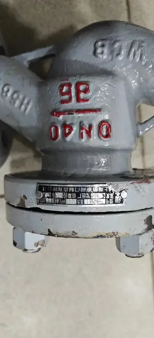 Steam Non Return Valve