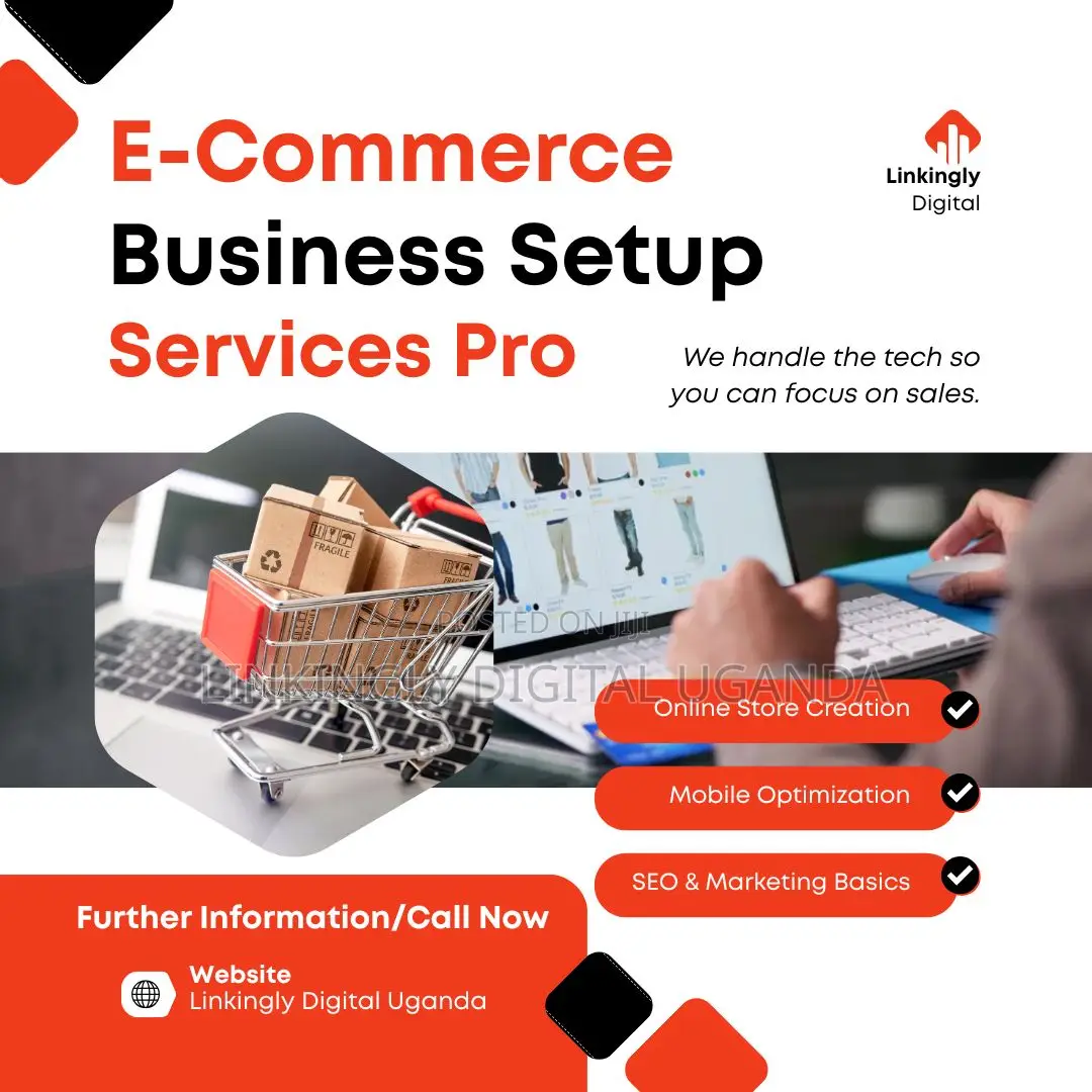 Get a Fast-Working Website That Brings Real Traffic