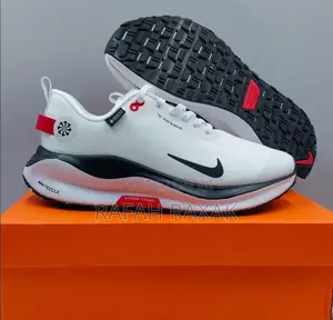 Nike React X  Infinity Run 4 Gore-tex Men’S Running Shoes