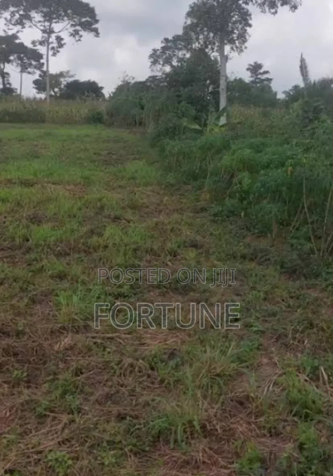 Village Land