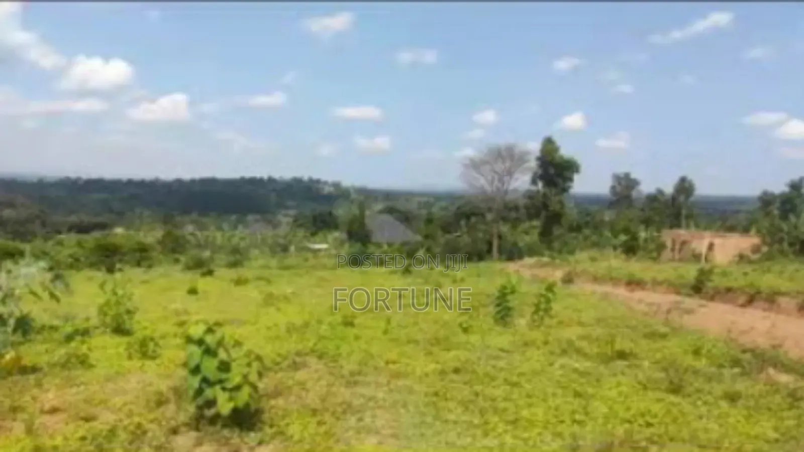 Village Land