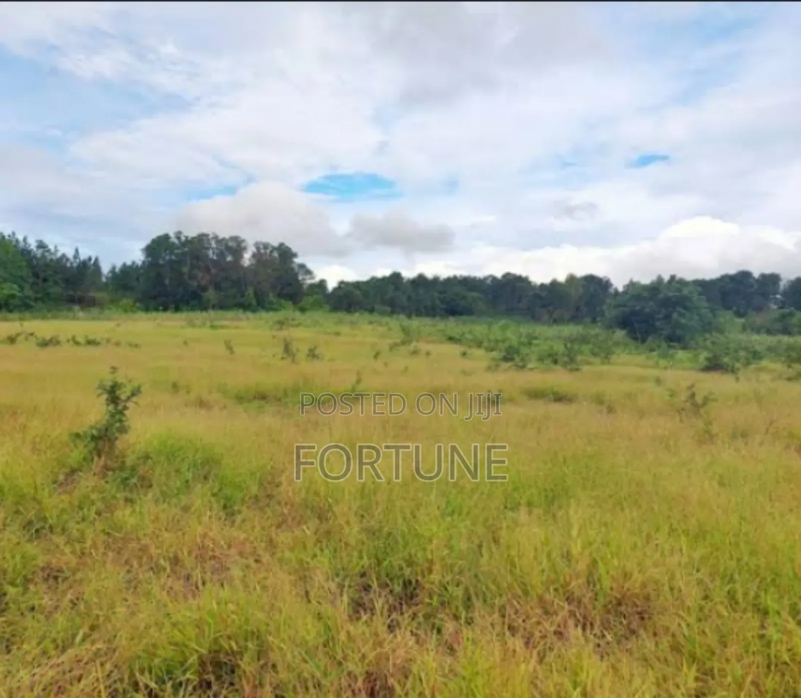 Land for Farming
