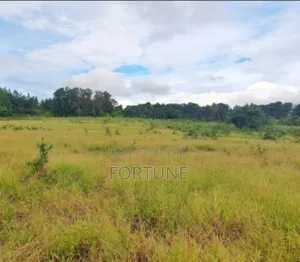 Land for Farming