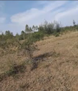 Land for Project Farm