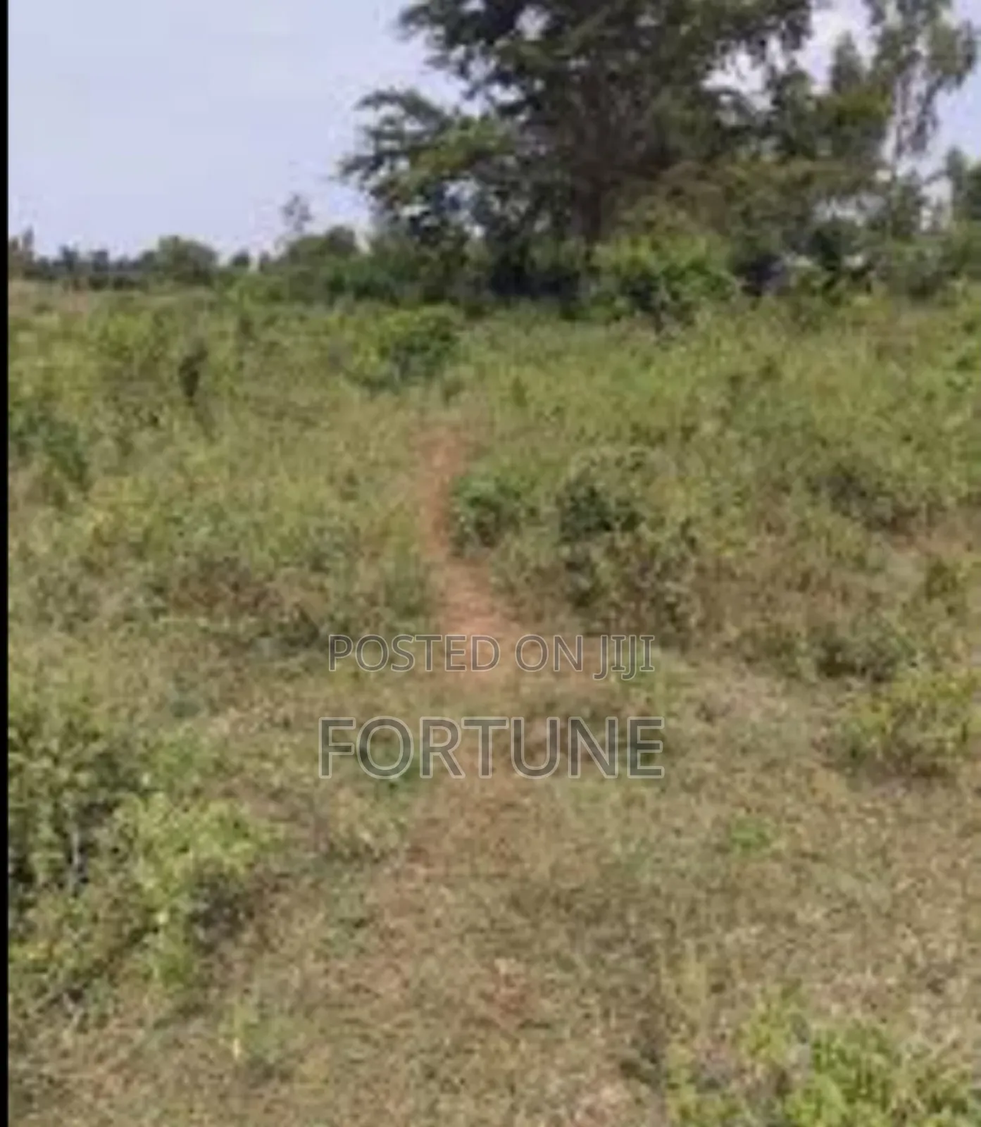 Project Land for Agriculture