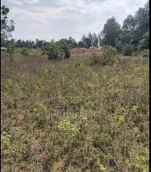 Project Land for Agriculture