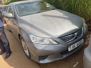 Toyota Mark X 2.5 AWD 2010 Gray