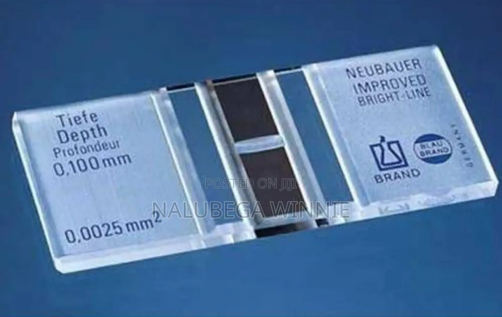 Neubauer Counting Chamber