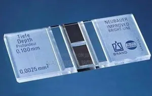 Neubauer Counting Chamber