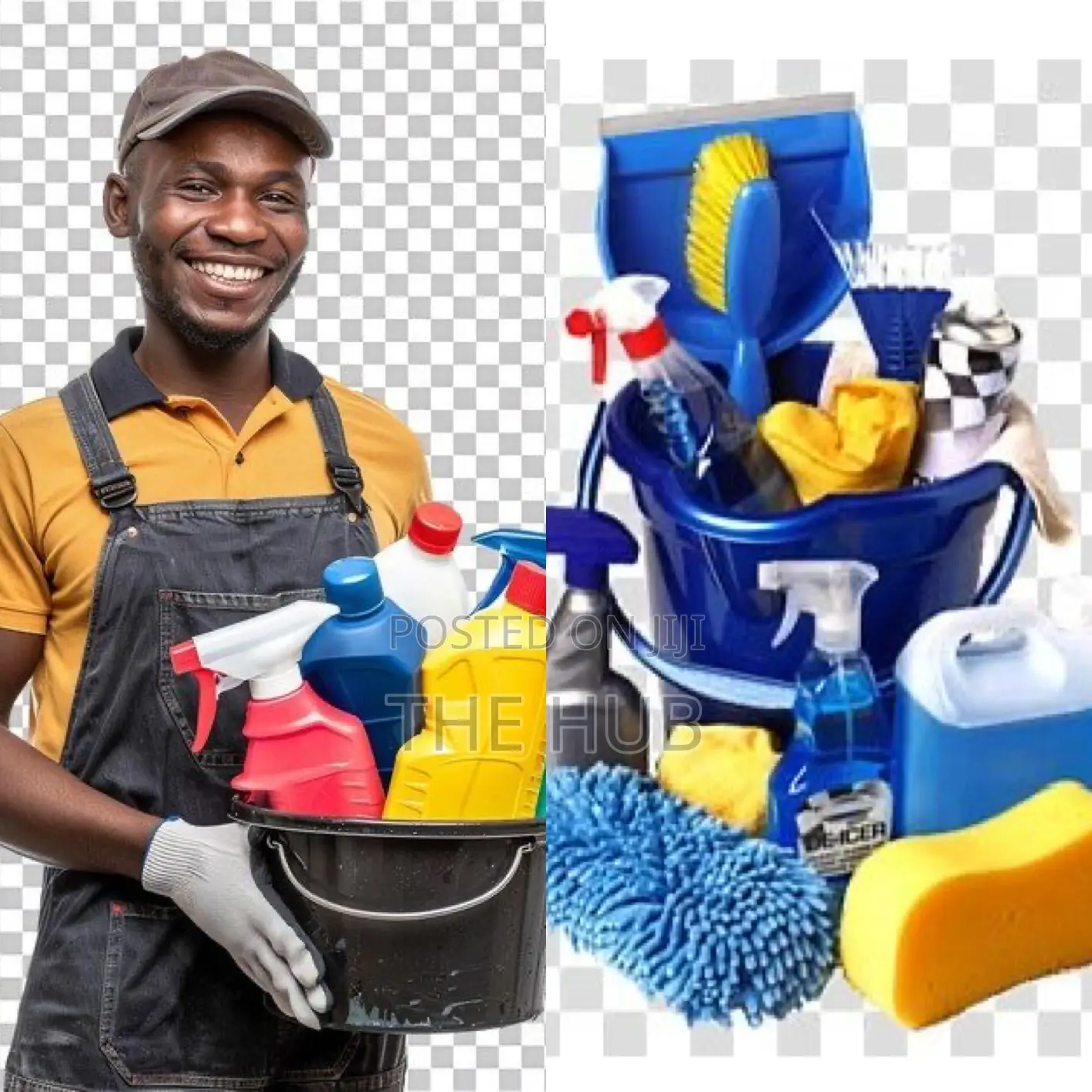 Cleaning, Fumigating Service