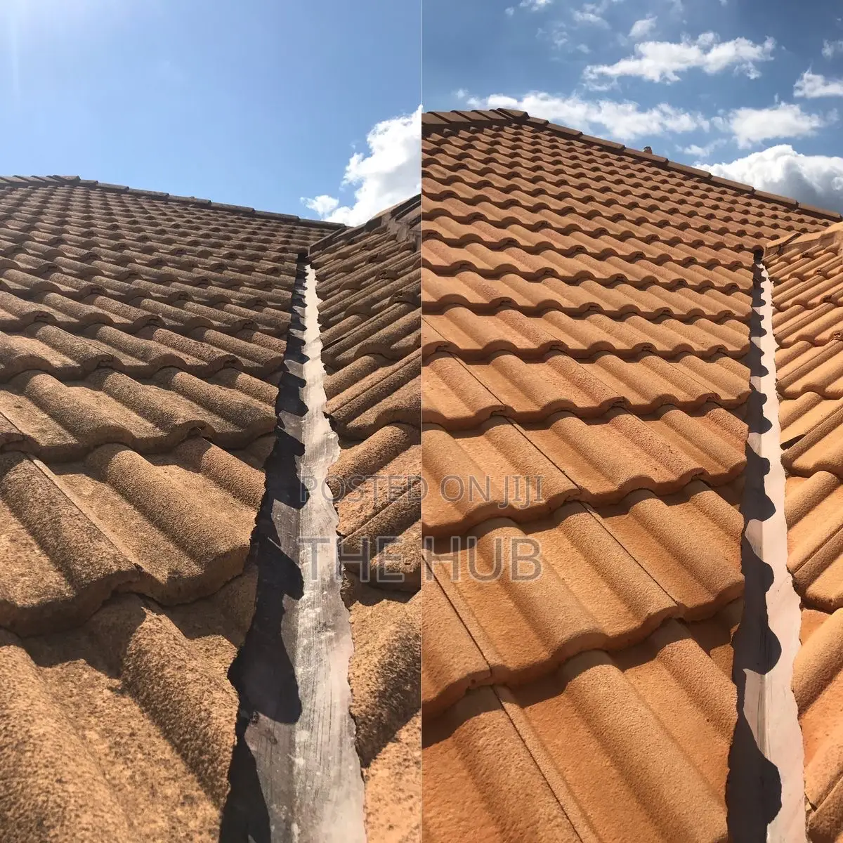 Roof Cleaning