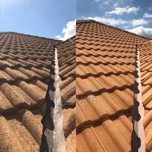 Roof Cleaning